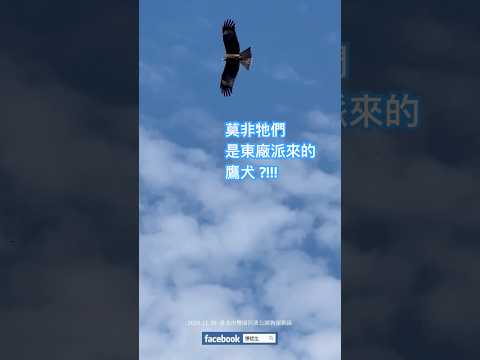 莫非牠們是東廠派來的 #鷹犬？！