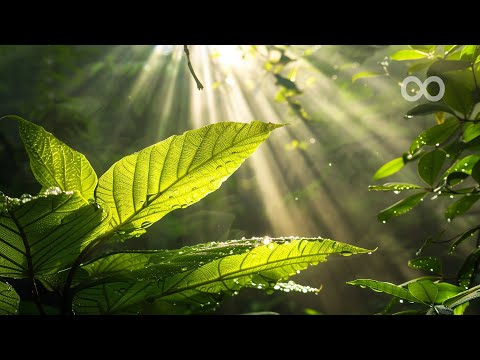 Beautiful Piano Music "Wrenley" Relaxing Music, Sleep Music, Meditation Music, Background Music