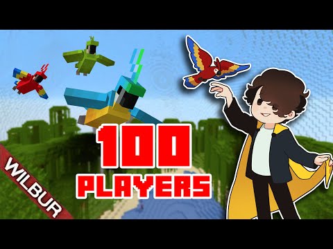 Minecraft 100 Player Bird Cage