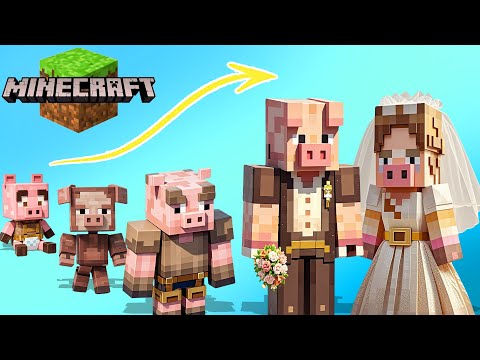 MINECRAFT 2024 Growing Up Compilation | Cartoon Wow