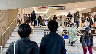 【4K】Tokyo Walk - Inside Shinjuku Station (Nov.2021)