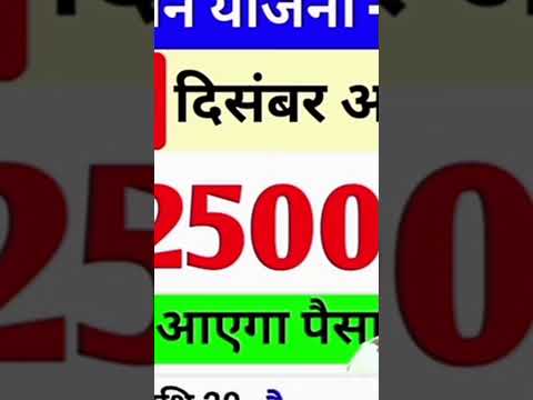 2500 बढ़ी खुशखबरी💯 || 28 दिसम्बर को मिलेगा || Maiya Samman Youjana #jharkhandsarkarnews #youtube