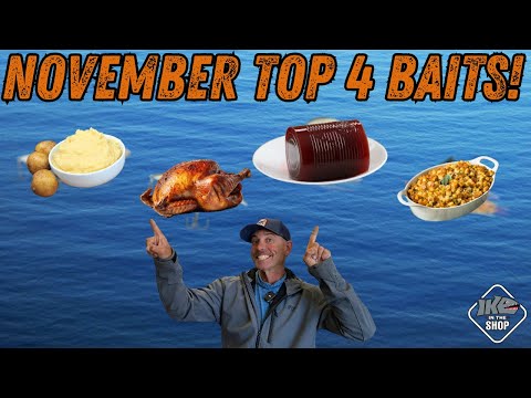 November Bass Fishing Essentials – Ike’s Top 4 Baits for North & South!