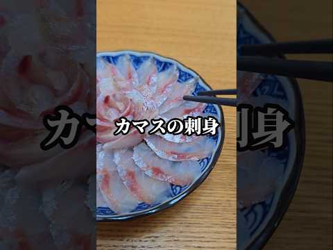 カマスを刺身にして盛り付けたら美味すぎた #刺身 #魚料理