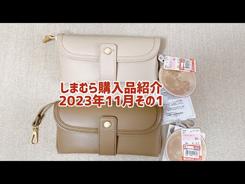 《しまむら購入品》メガネケース&ペンケースどちらもセールで550円！