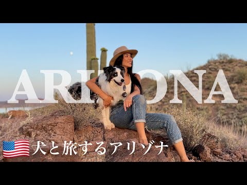 大自然の中でアウトドアを楽しむアメリカ旅 | 野良ロバと愛犬が遭遇| SUP | 滝ハイキング