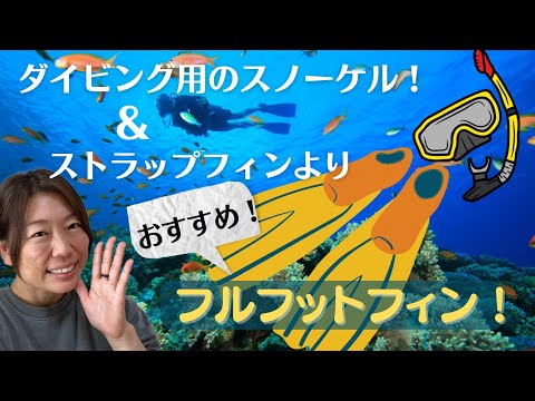 ダイビングインストラクターのダイビング器材解説動画【ダイビング用シュノーケルとおすすめのフィンを紹介】