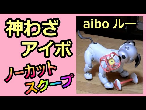 【20 神わざアイボ  Super aibo】スクープ映像撮れました ルー Lou