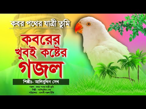 কবরের খুবই কষ্টের গজল শুনে চোখে পানি চলে আসবে | কবর পথের যাত্রী তুমি | Emotional Gojol | Alibuddin