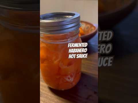 Today on the Homestead: Homemade Fermented Habanero Hot Sauce | Spicy & Flavorful Recipe #shorts