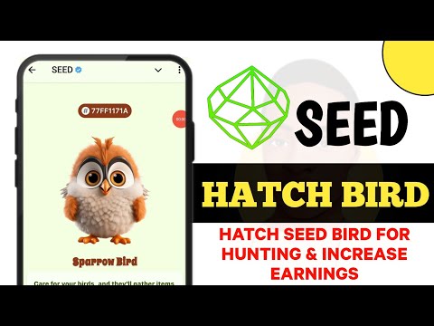 SEED Airdrop Update: How to Hatch Bird for Hunting & Increase SEED Coin Earnings