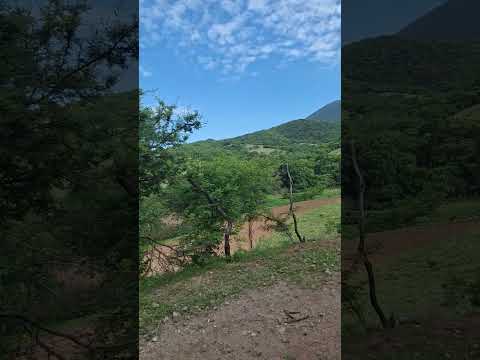 PARA TODA MI RAZITA DEL #rancho  #campo #mexico #puebla #pueblomágico #viralvideo