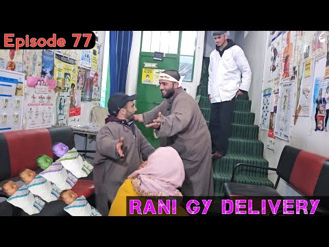 Rani Gy Delivery | Part 77  | Kashmiri Drama