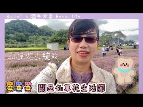 2024關西仙草花生活節｜仙草市集｜仙草一分田｜南山大橋旁｜仙草創意料理饗宴