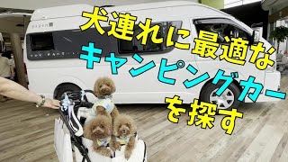 犬連れ目線のキャンピングカー選び【トイファクトリー BADEN】【トイプードル rosie】