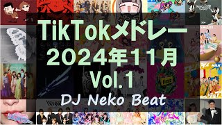 【TikTokメドレー】2024年11月にSNSで流行した最新ヒット曲 Vol.1【JPOPメドレー】