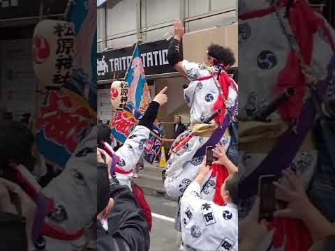 松原神社明神会30周年記念神輿渡御（小田原）見てきた