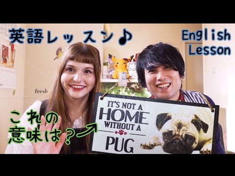 ［English Lesson］It's not a home without a pug