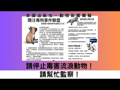 請停止毒害流浪動物！請幫忙監察！｜動物新聞簡報