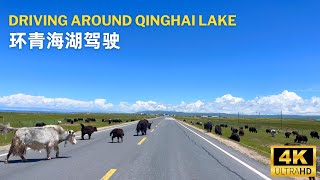 驾车环绕中国最大的湖泊-青海湖 Drive around the largest lake in China - Qinghai Lake - 4K