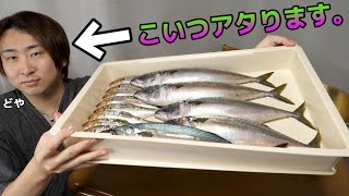 This is video of when kimagure cook was hit by mackerel and almost dies.