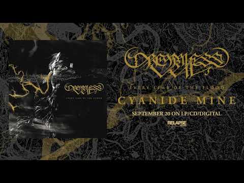 DREAMLESS VEIL - Cyanide Mine (Official Audio)