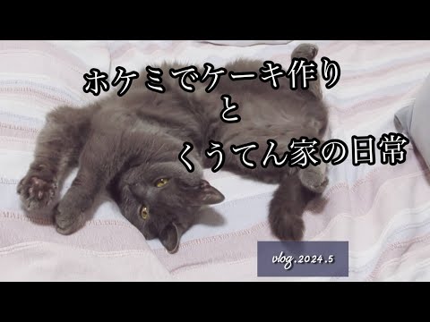 【料理】HKMで簡単ケーキ作り/くうてん家の日常/猫との暮らし