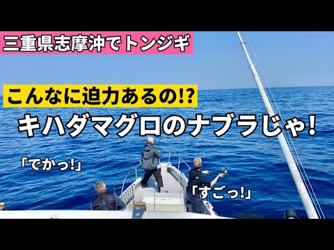 【トンボマグロジギング】志摩沖でキハダマグロのナブラ！！