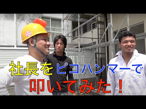 【切り抜き】社長をピコハンマーで叩いてみたら....