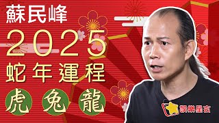 蘇民峰 2025蛇年運程之虎 兔 龍