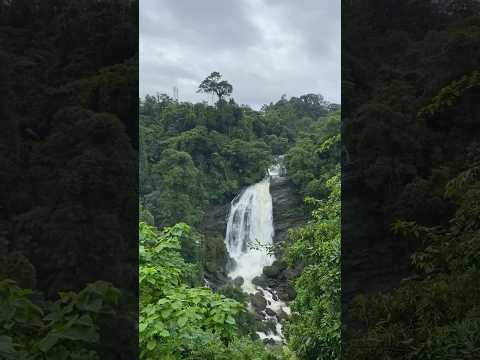 Travel mode on!! Beautiful scenery ahead!! #youtube #shortstiktok #shorts #travel #rain #waterfall