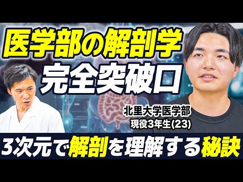 【解剖学の乗り切り方】北里大学の現役医学生に、解剖学の勉強法を聞きました！