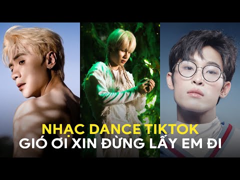 Gió Ơi Xin Đừng Lấy Em Đi Remix - Đom Đóm Remix - Nhạc Remix Dance Hot Nhất TikTok 2024