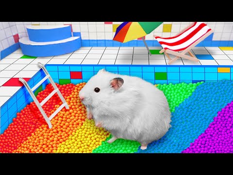 Hamster Escapes in Real Life 🌈 Rainbow Ball Pool