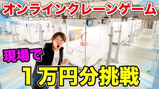 【１万円】オンラインクレーンゲーム、実際に見ながらやったら爆取れするんじゃないか？【タイクレ】