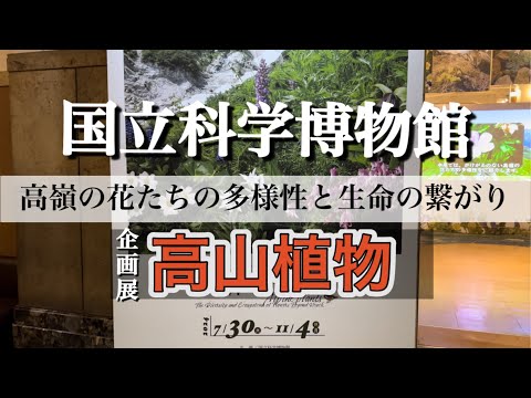 【国立科学博物館】 企画展「高山植物～高嶺の花たちの多様性と生命のつながり～」