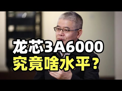 追赶10代酷睿，龙芯夸大了吗？咱们如何才能摆脱Wintel、AA体系？【龙科多13】