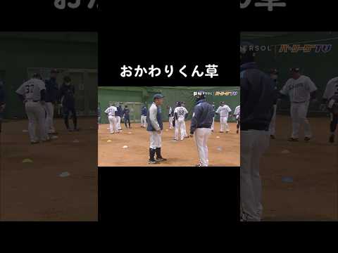 おかわり君「ベテランとはこういうことだよ」 #野球 #baseball  #プロ野球 #npb #爆笑 #ネタ #お笑い