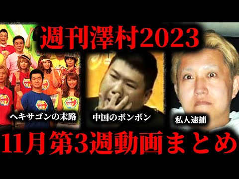 【週刊澤村2023】11月第3週たっくー動画まとめ【たっくー切り抜き】