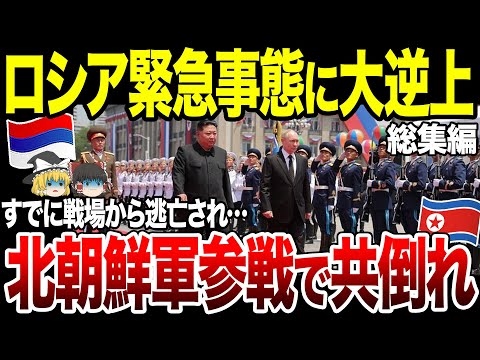 【ゆっくり解説】ロシア消滅危機…！北朝鮮がウクラ侵攻参戦で共倒れ…露軍兵の悲惨な末路やエストニアの参戦でプーチンどうする【総集編】