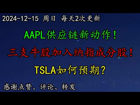 美股 AAPL供应链新动作！三支牛股加入纳指成分股！TSLA如何预期？这支抄底股还在涨！科技巨头给特朗普捐款，意欲何为？SOUN、SOXL、TSM、PLTR、ARM、HOOD、PYPL、LLY