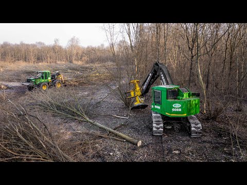 John Deere Skidder 548 G3 & John Deere 608 B | Forest clearing