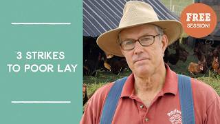 3 Strikes to Poor Egg Laying: Pasturing Chickens | Joel Salatin