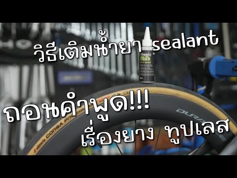 ความรู้สึกใหม่ๆ เรื่องยางทูปเลสเสือหมอบ วิธีการเติม sealant