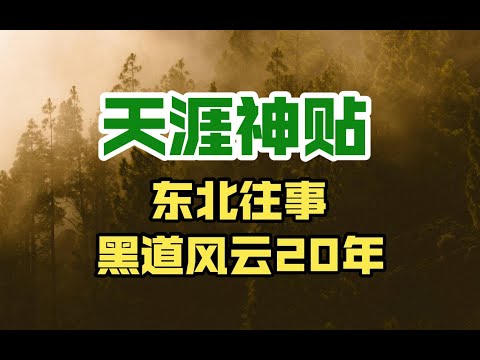 天涯神贴：东北往事  黑道风云20年