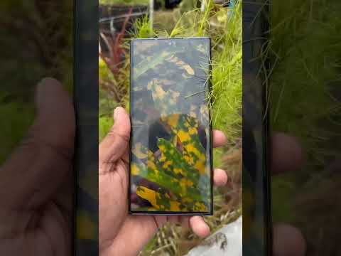 S22 ultra - amazing smartphone