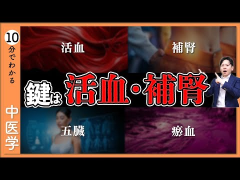 中医学で健やかな人生を｜「活血」と「補腎」で健康を底上げする秘訣【9割が知らない中医学】