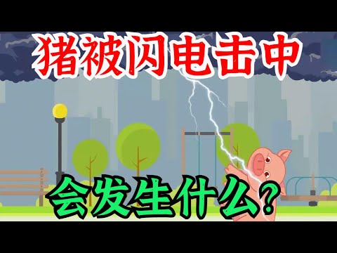 What happens if a pig is struck by lightning?