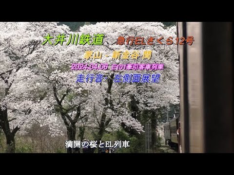 2024 04 06　大井川鉄道　ELさくら12号　列車走行音・左側車窓動画