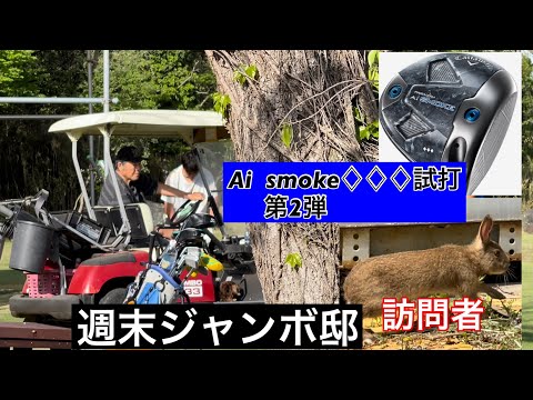 🐰うさぎ現る【週末ジャンボ邸】CallawayAi  smoke試打第2弾